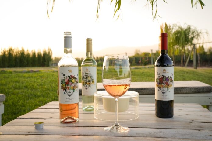 WhatsApp Image 2023-02-15 at 20.01.50 (1)