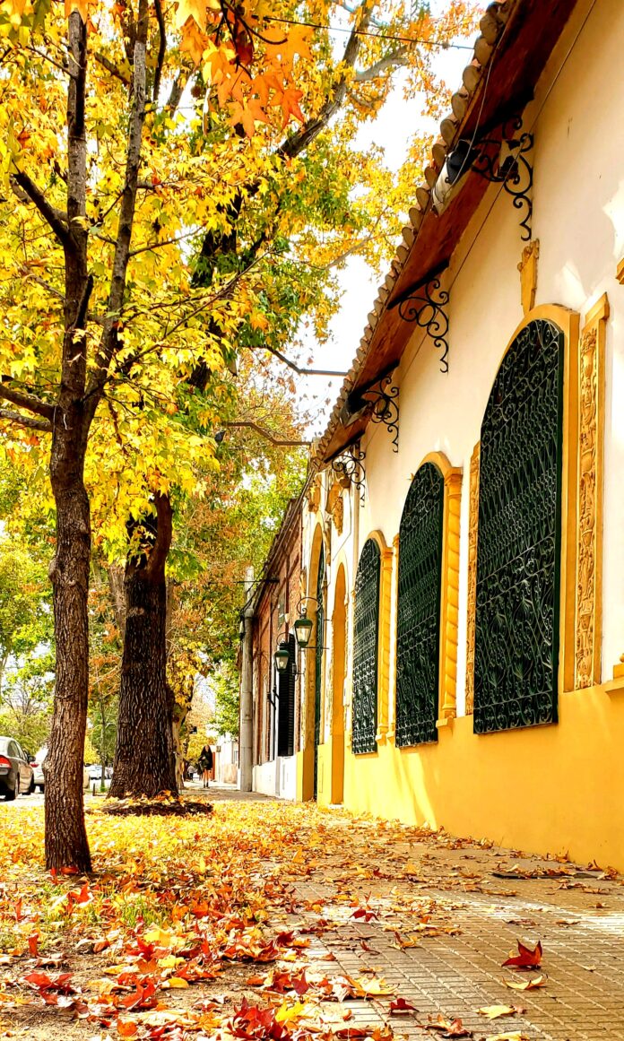 saladillo Fernanda Bruno (1)