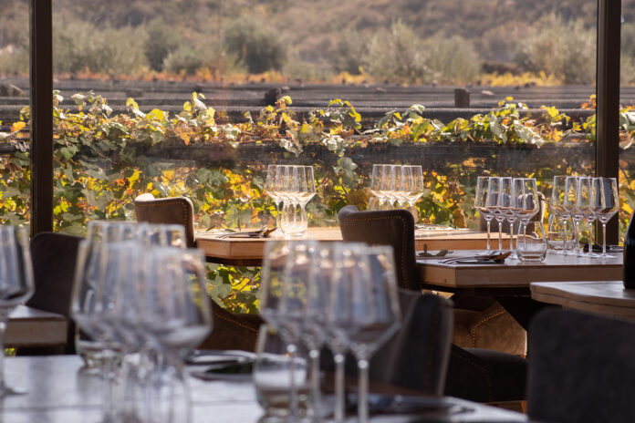 DFW_5Suelos_resto_interior01