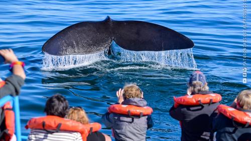 PUERTO-PIRAMIDES-Alexis-Fioramonti