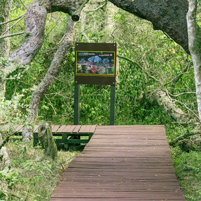 Magdalena- El Destino 2