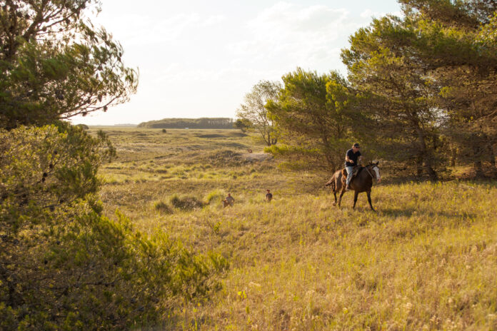 EL SALVAJE IMAGEN ETAPA 2.
