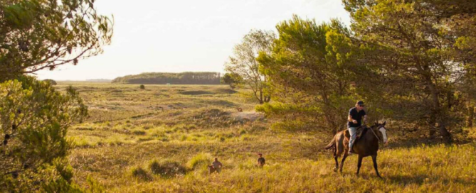 Chacras-Maritimas-El-Salvaje-669x272