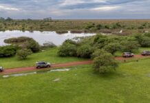 Jeep Nature en Esteros del Iberá: una nueva iniciativa que conecta experiencias de manejo con la naturaleza de nuestro país