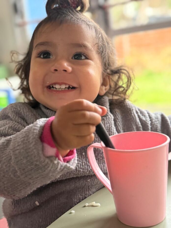 DESAYUNOS SALUDABLES 1