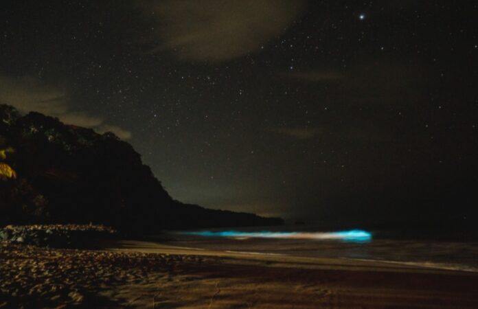 WhatsApp Image 2025-08-07 at 23.04.10