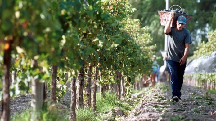 f1280x720-188388_320063_5819