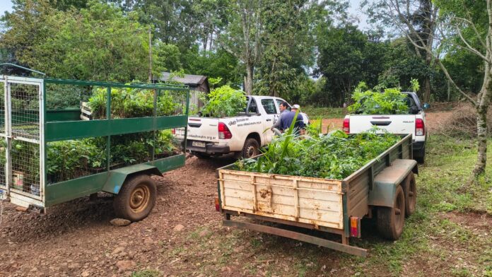 Entrega de plantas a familias 1_Foto Jonatan Villalba
