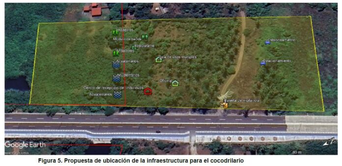 WhatsApp Image 2025-11-14 at 14.18.42