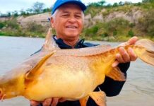 Entre Ríos: Santa Elena celebra la 25ª Fiesta Provincial de la Pesca del Armado