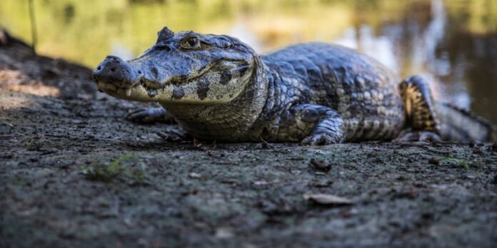 pexels-mariacamila-7346730-1140x570