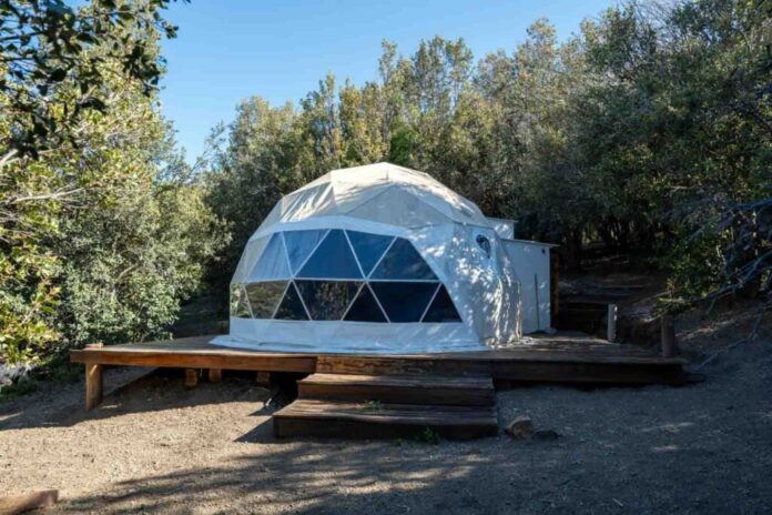 WhatsApp-Image-2025-12-22-at-10.43.18-AM-1024x682