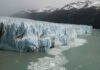 Informe técnico advierte que debilitar la Ley de Glaciares pondría en riesgo a más de la mitad de las especies de vertebrados del país