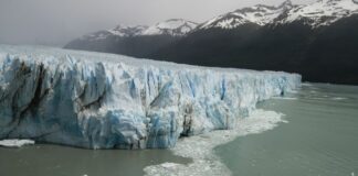 Informe técnico advierte que debilitar la Ley de Glaciares pondría en riesgo a más de la mitad de las especies de vertebrados del país