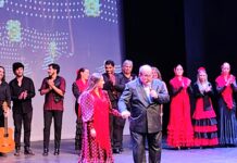 El tributo a “Carmen”, de Jorge Mazzzini, en versión flamenca, bajó el telón